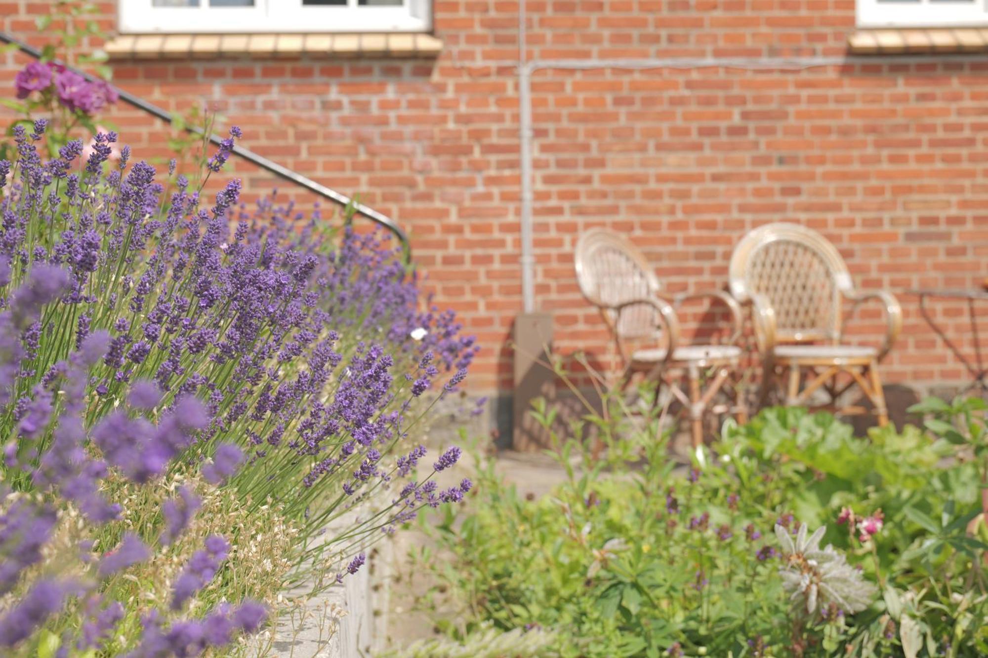 Bed and Breakfast Huset I Hejls Экстерьер фото